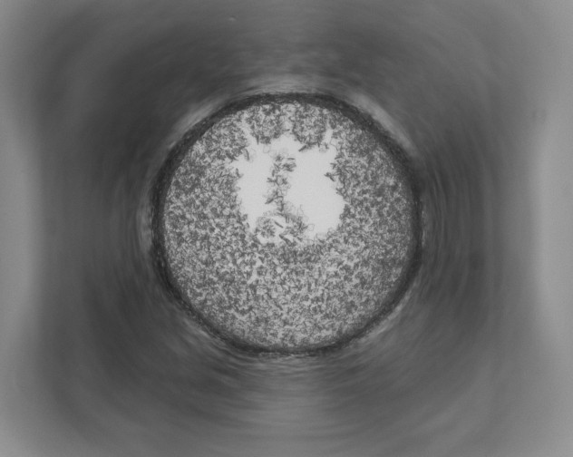 X0000111181213200907291136