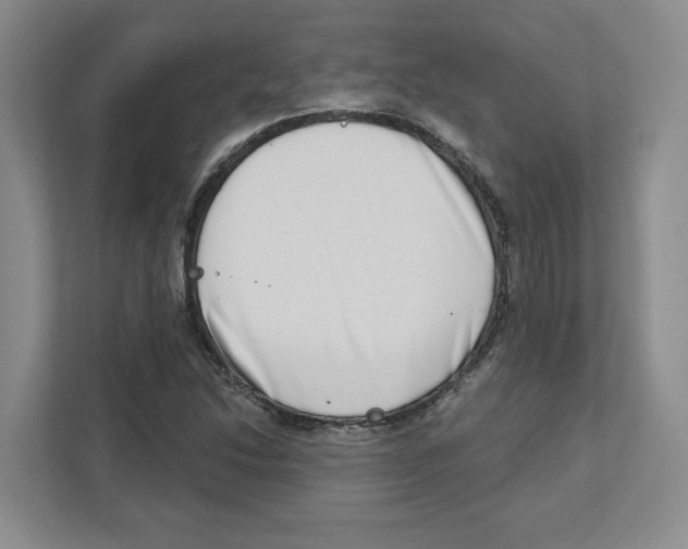 X0000111181214200907291136