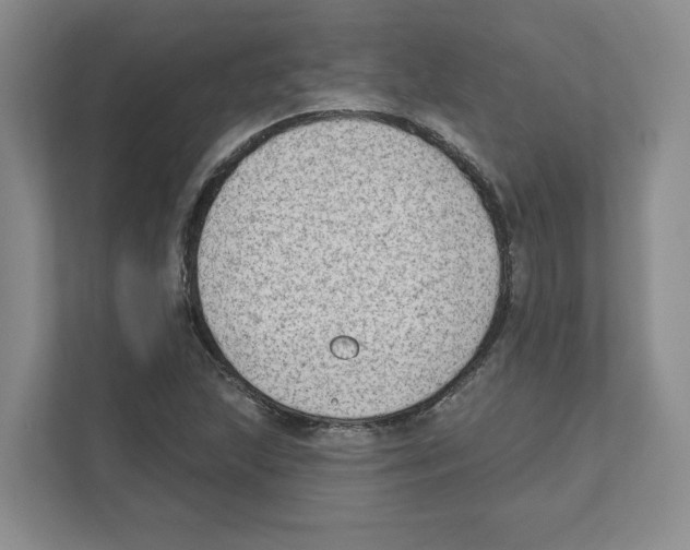 X0000111181215200907291136