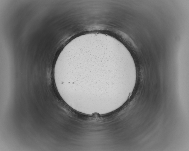 X0000111181217200907291136