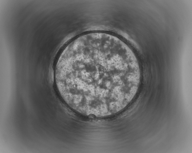 X0000111181221200907291136