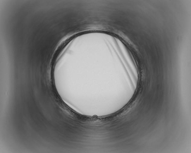 X0000111181222200907291137