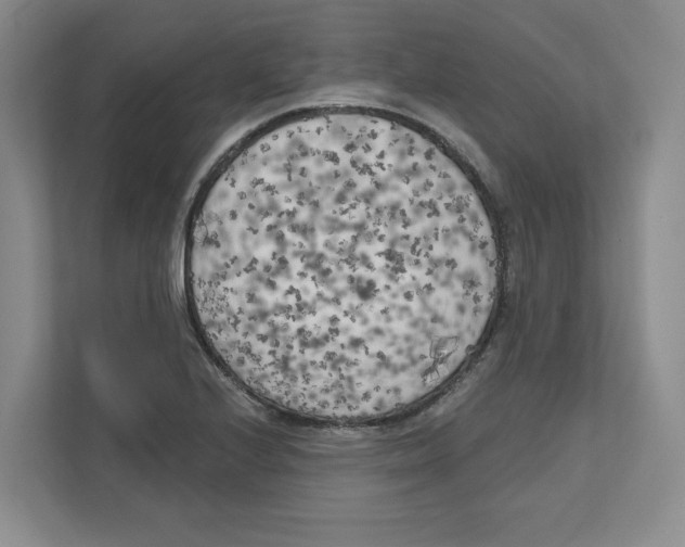 X0000111181224200907291137