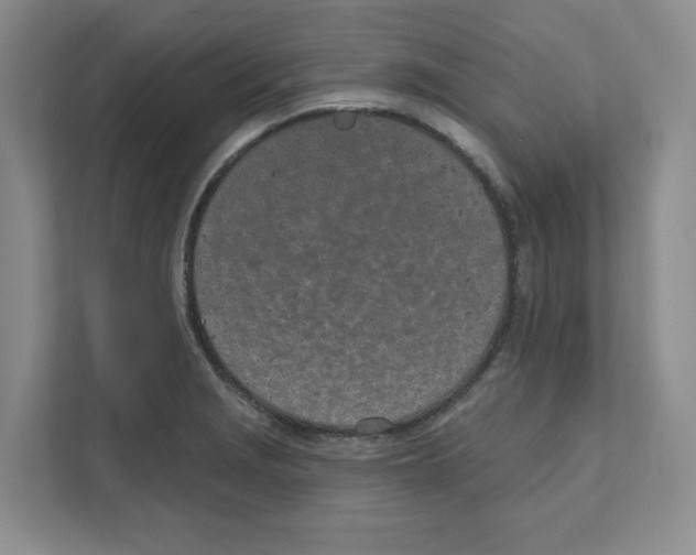 X0000111181229200907291137