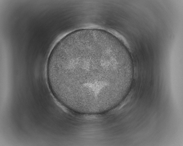 X0000111181231200907291137