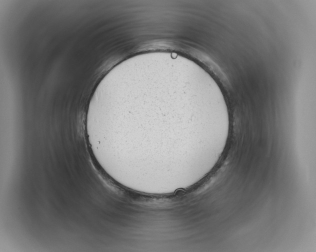 X0000111181233200907291137