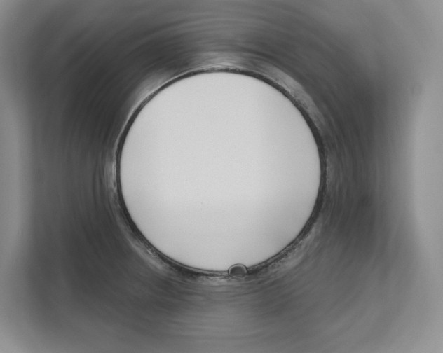 X0000111181234200907291137