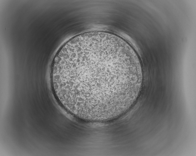 X0000111181235200907291137