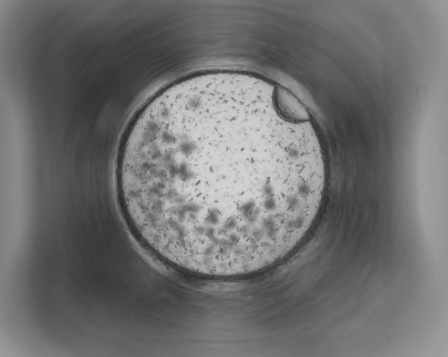 X0000111181237200907291137