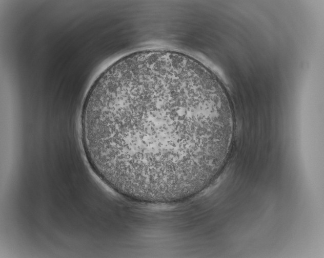 X0000111181239200907291137