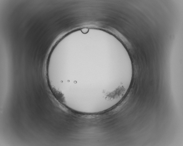 X0000111181240200907291137