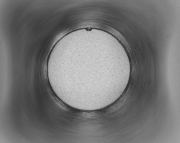 X0000111181242200907291137