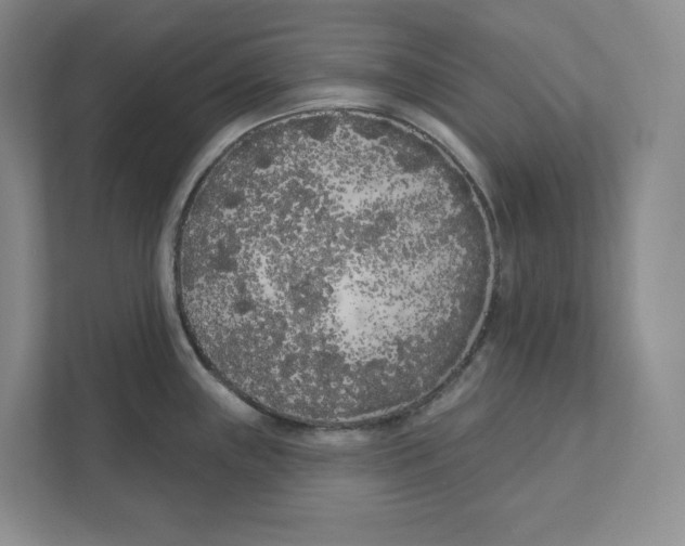 X0000111181243200907291137