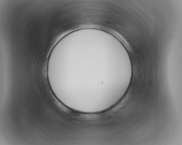 X0000111181244200907291137