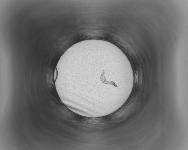 X0000111181251200907291136