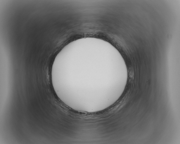 X0000111181252200907291136