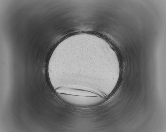 X0000111181257200907291136