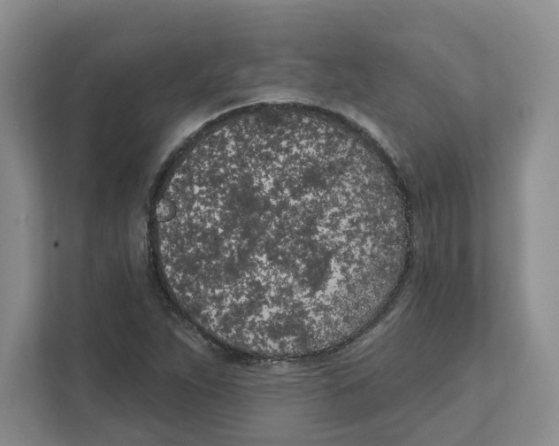 X0000111181263200907291136