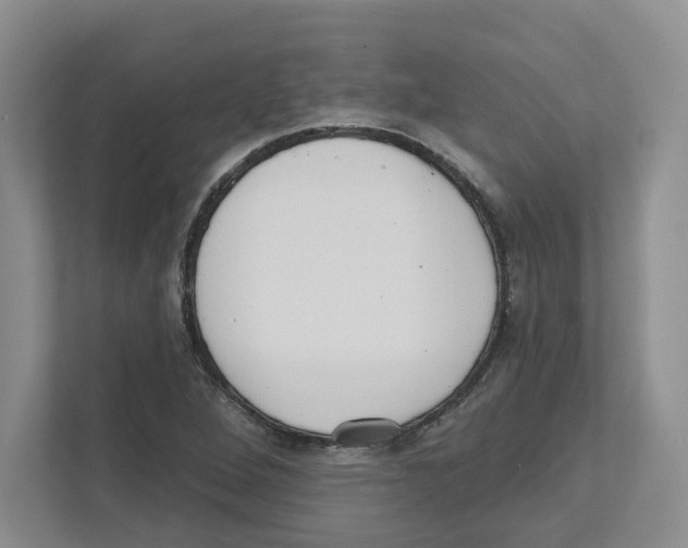 X0000111181264200907291136