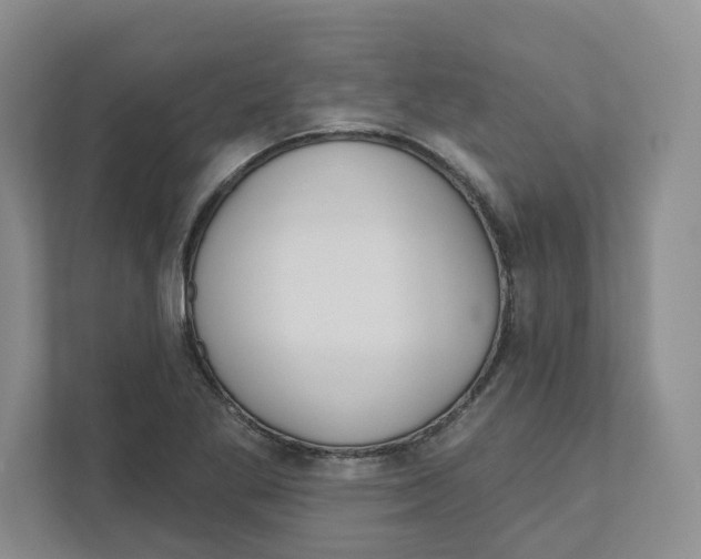 X0000111181269200907291136