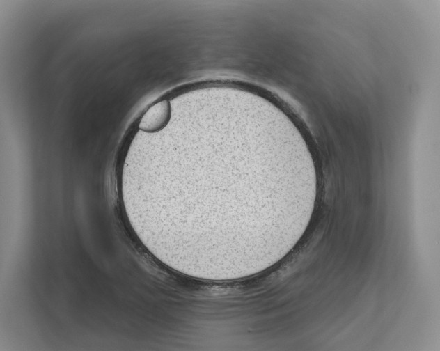 X0000111181271200907291136