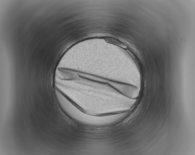 X0000111181273200907291136