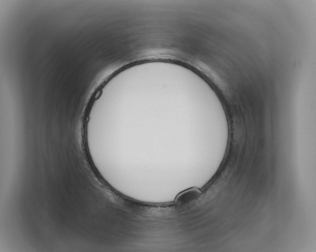 X0000111181277200907291136