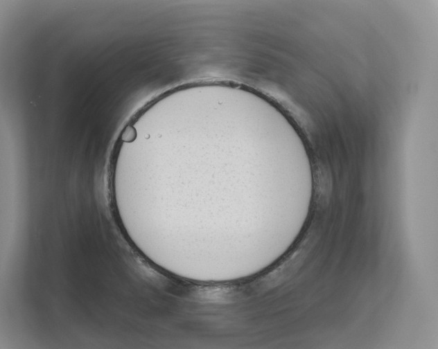 X0000111181278200907291136