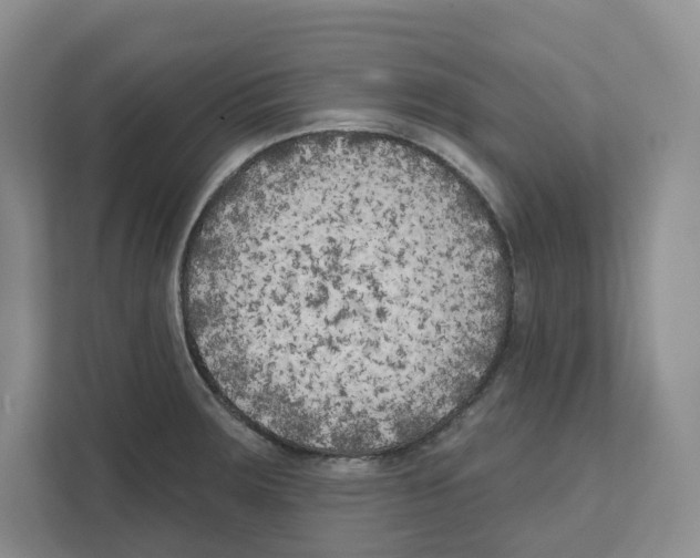 X0000111181283200907291136