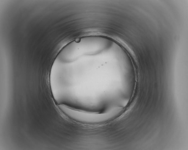 X0000111181289200907291136