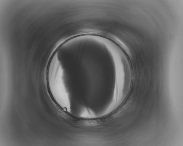 X0000111181291200907291136