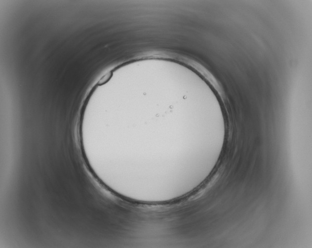 X0000111181293200907291136