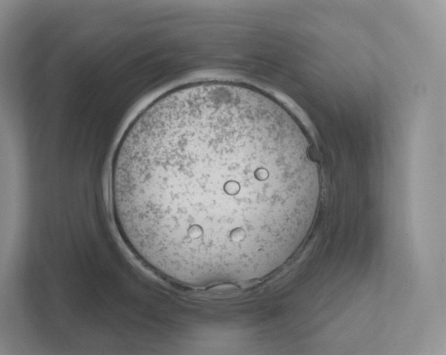 X0000111181295200907291136