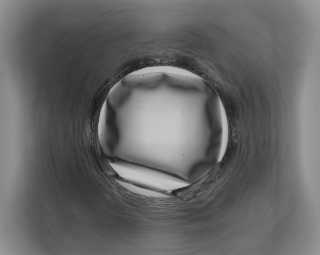 X0000111181298200907291135