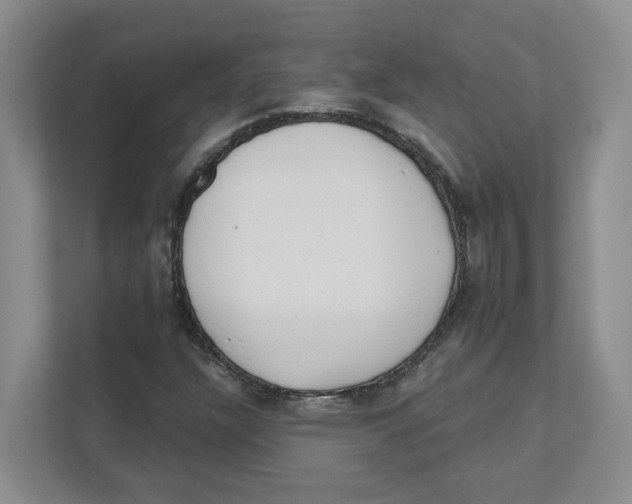 X0000111181304200907291135