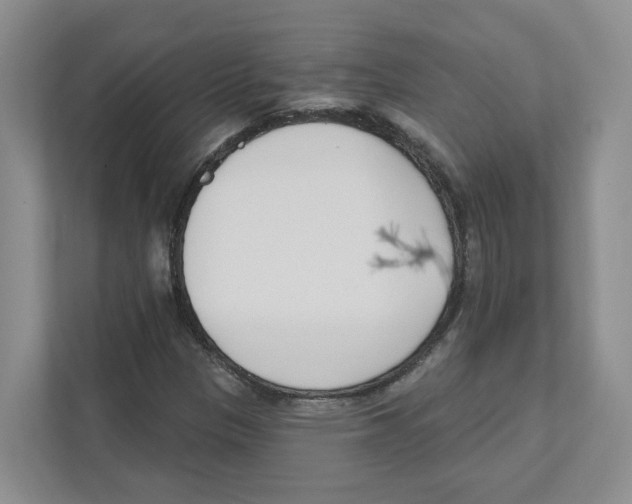 X0000111181305200907291135