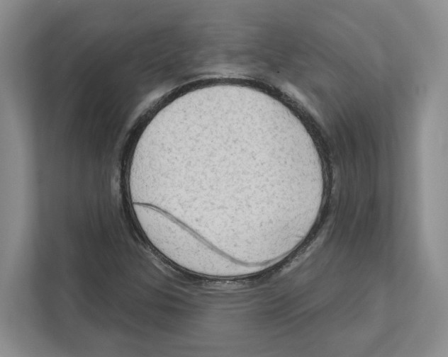 X0000111181307200907291135