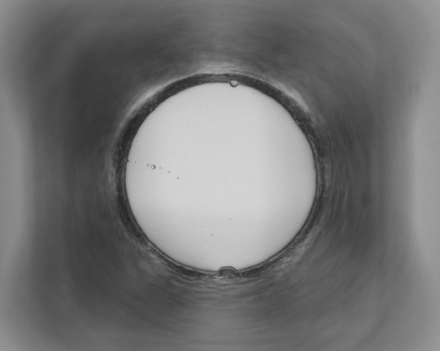 X0000111181311200907291135