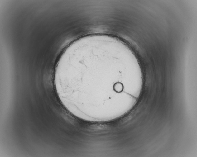 X0000111181314200907291135