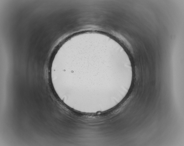 X0000111181318200907291135