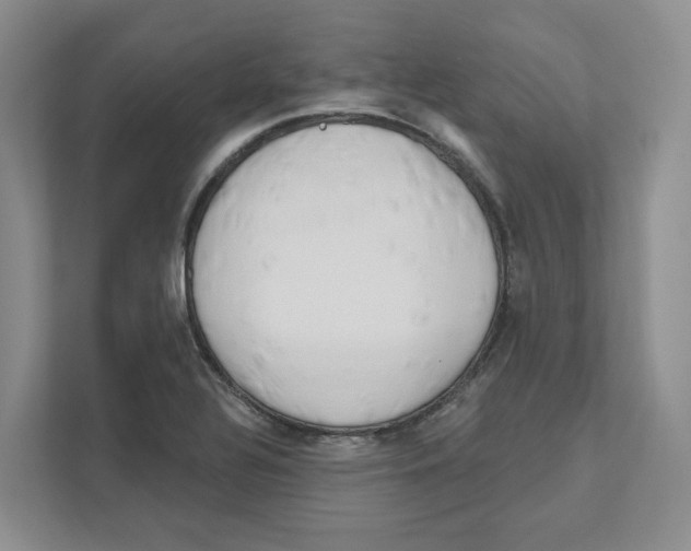 X0000111181320200907291135