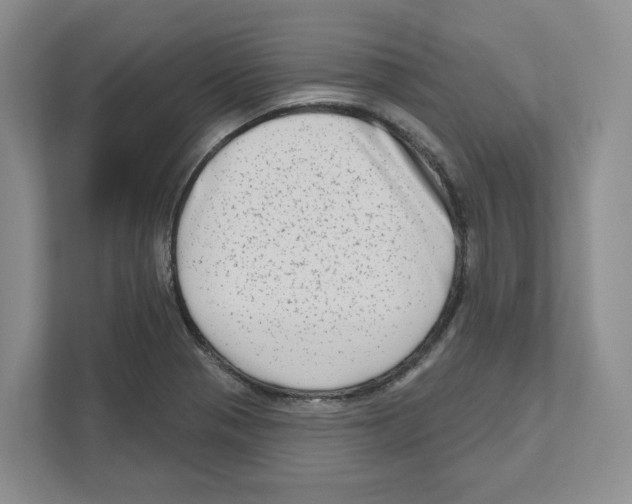 X0000111181321200907291135