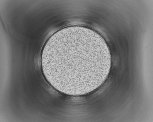 X0000111181322200907291135