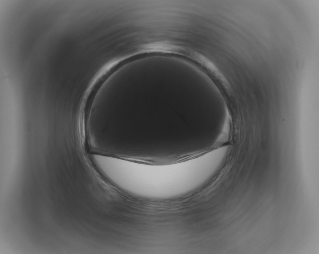 X0000111181323200907291135