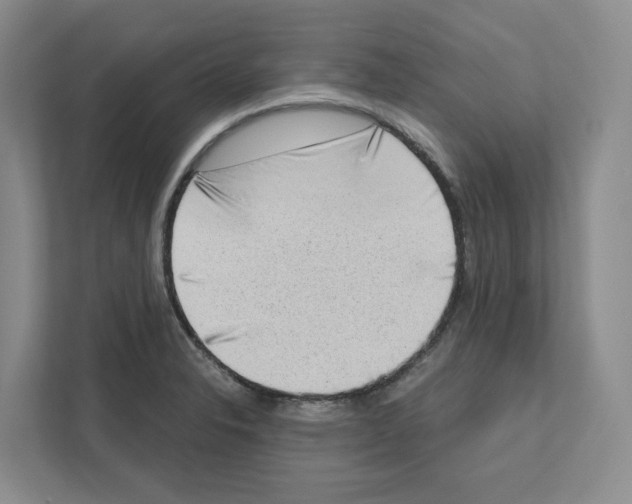 X0000111181326200907291135