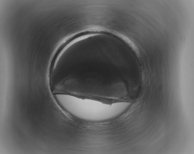 X0000111181327200907291135