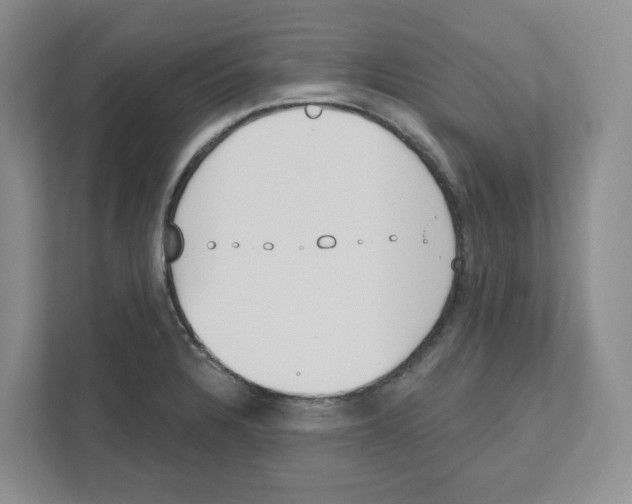 X0000111181328200907291135