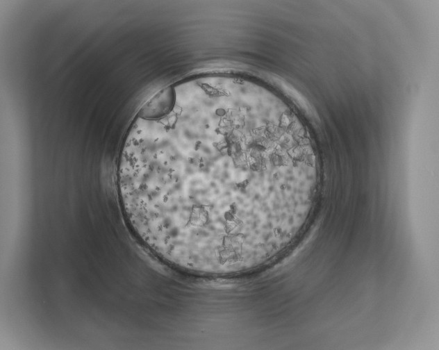 X0000111181329200907291135