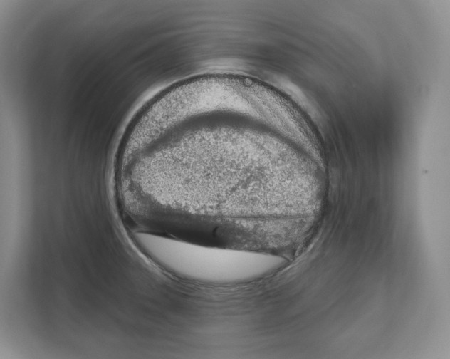 X0000111181331200907291135