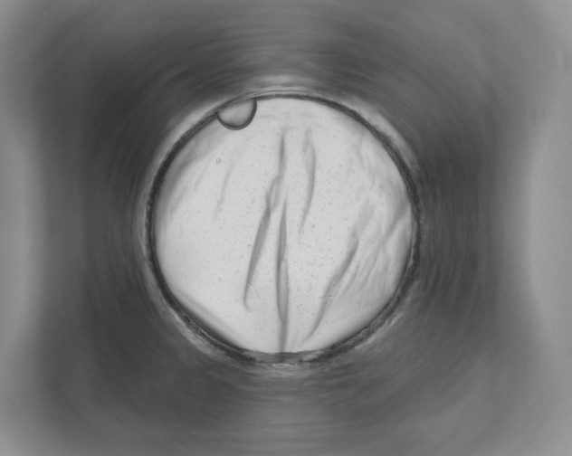 X0000111181333200907291135